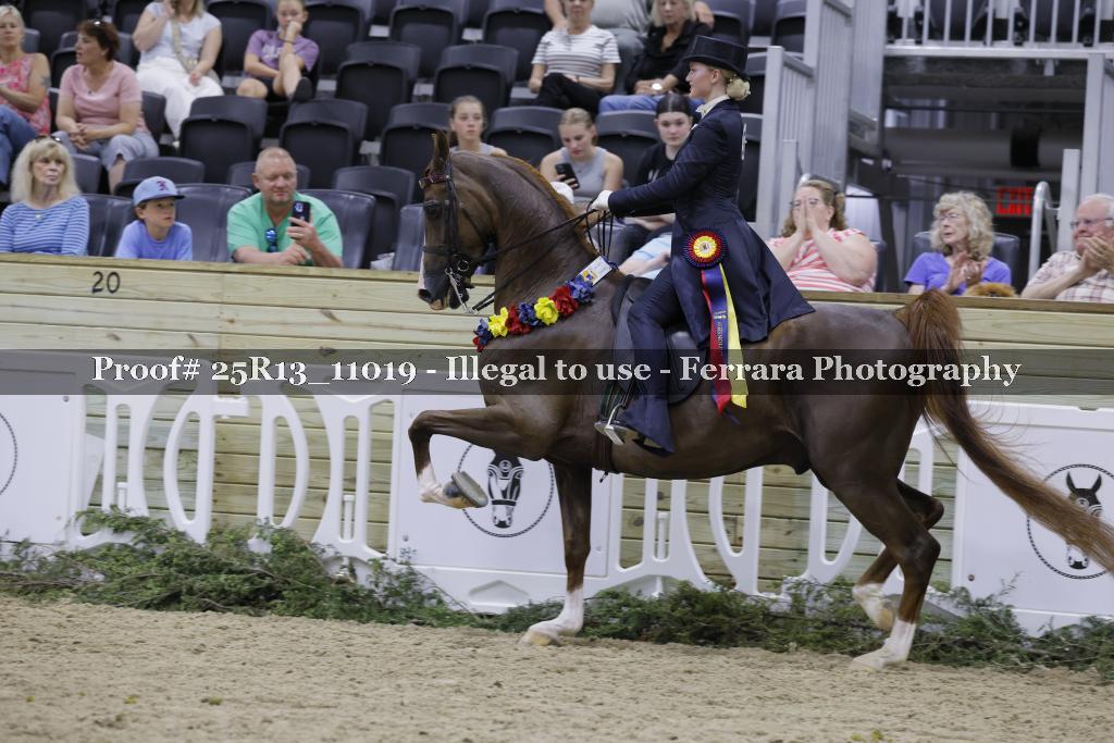 Proof 25R13_11019