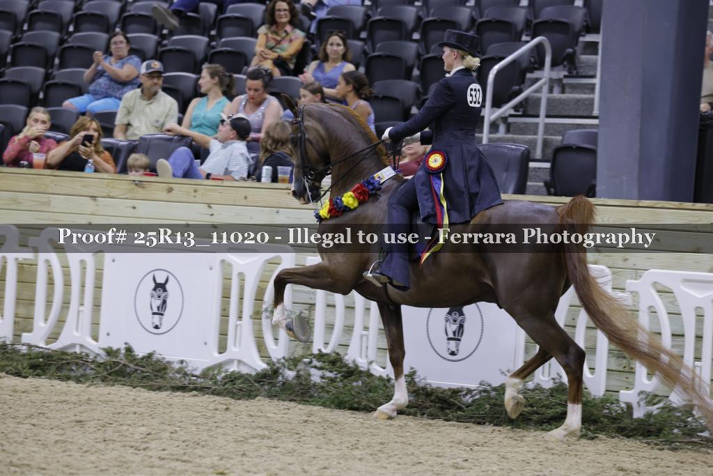 Proof 25R13_11020