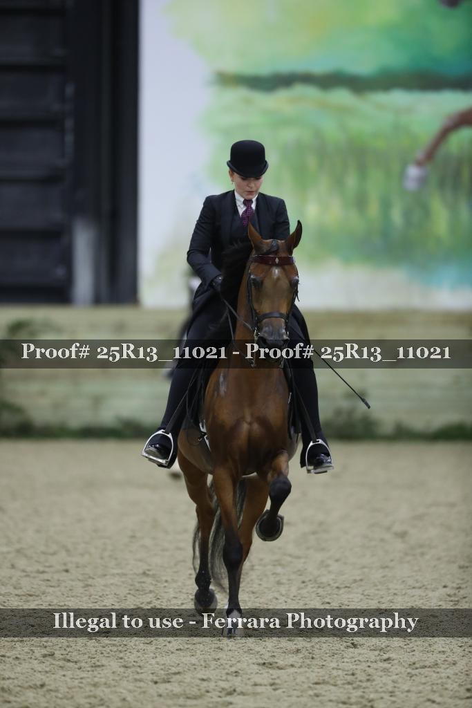 Proof 25R13_11021
