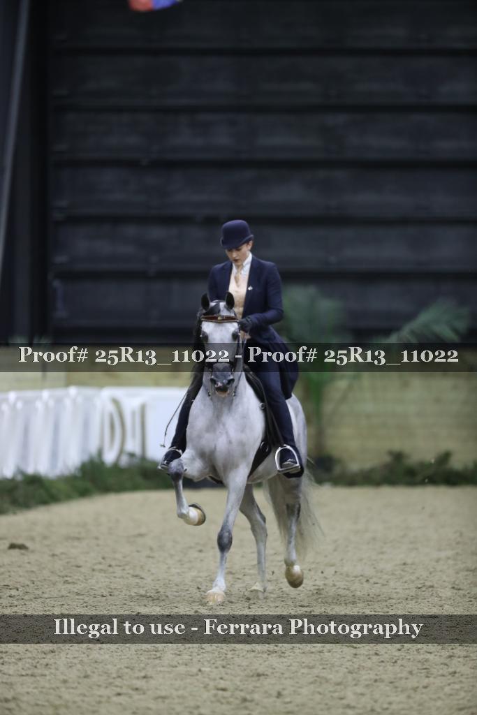 Proof 25R13_11022