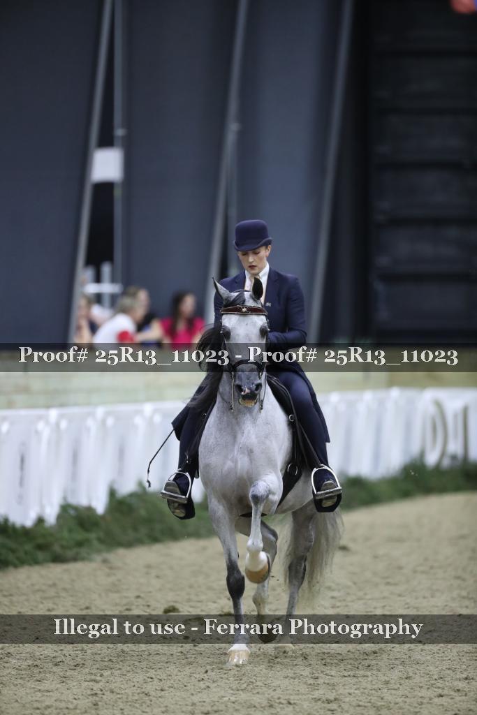 Proof 25R13_11023