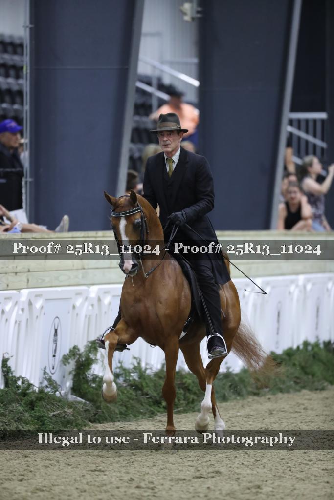 Proof 25R13_11024