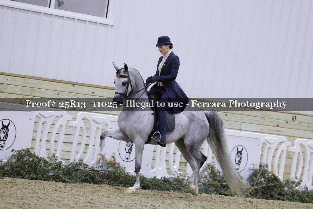 Proof 25R13_11025