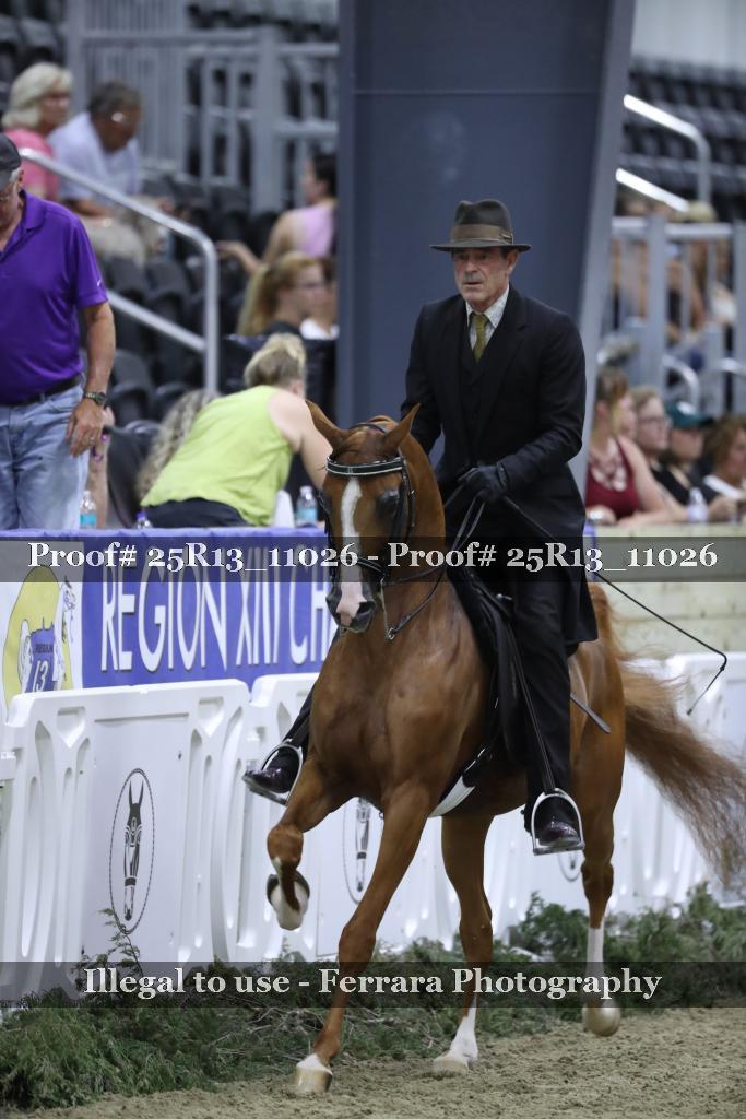 Proof 25R13_11026