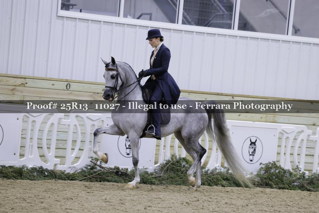 Proof 25R13_11027