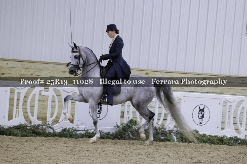 Proof 25R13_11028