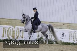 25R13_11028 proof