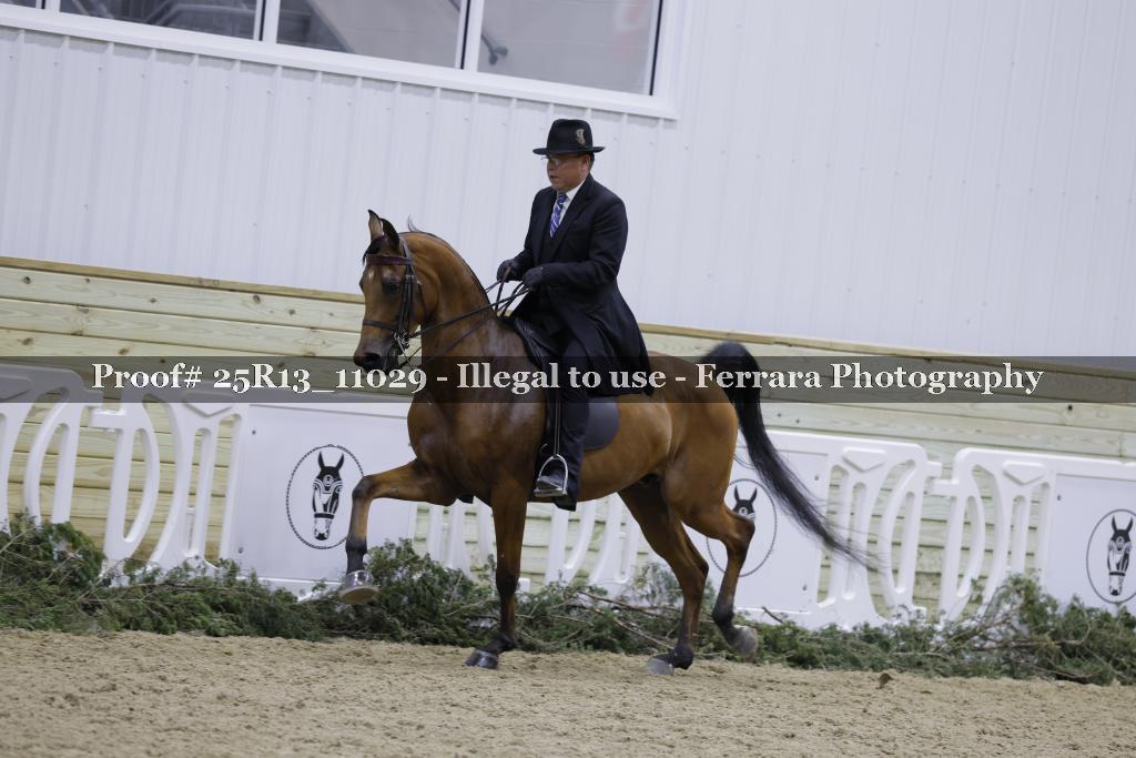 Proof 25R13_11029