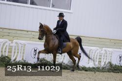 25R13_11029 proof