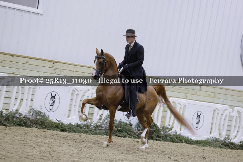 Proof 25R13_11030