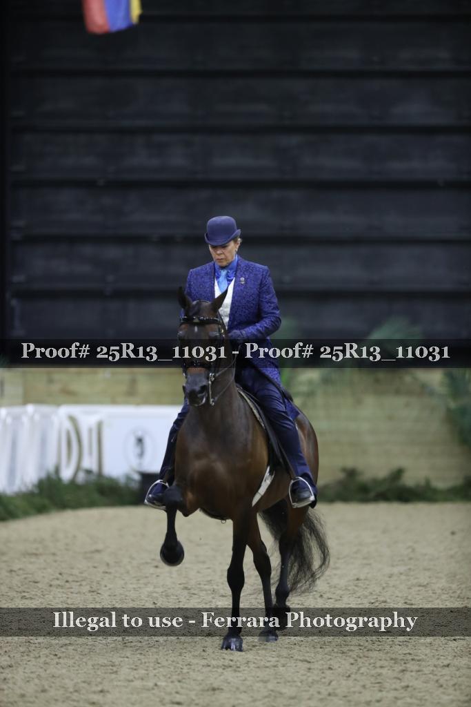 Proof 25R13_11031