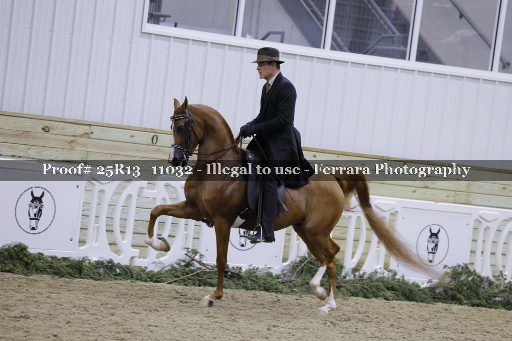 Proof 25R13_11032