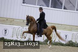 25R13_11032 proof