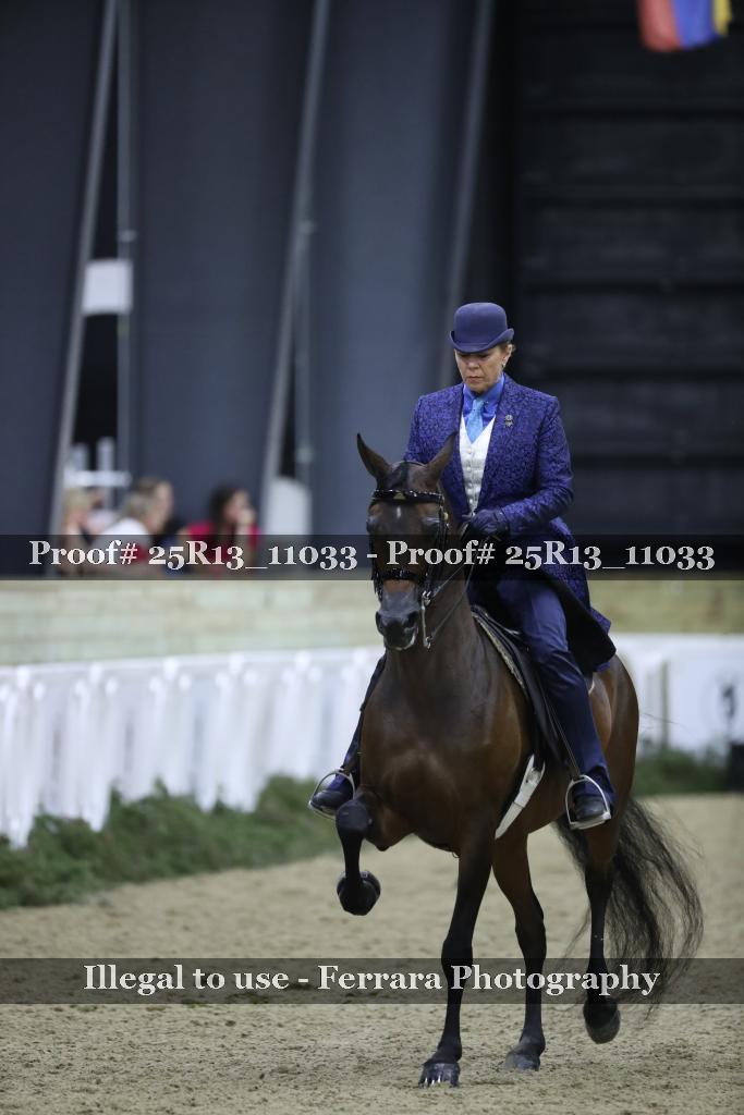 Proof 25R13_11033