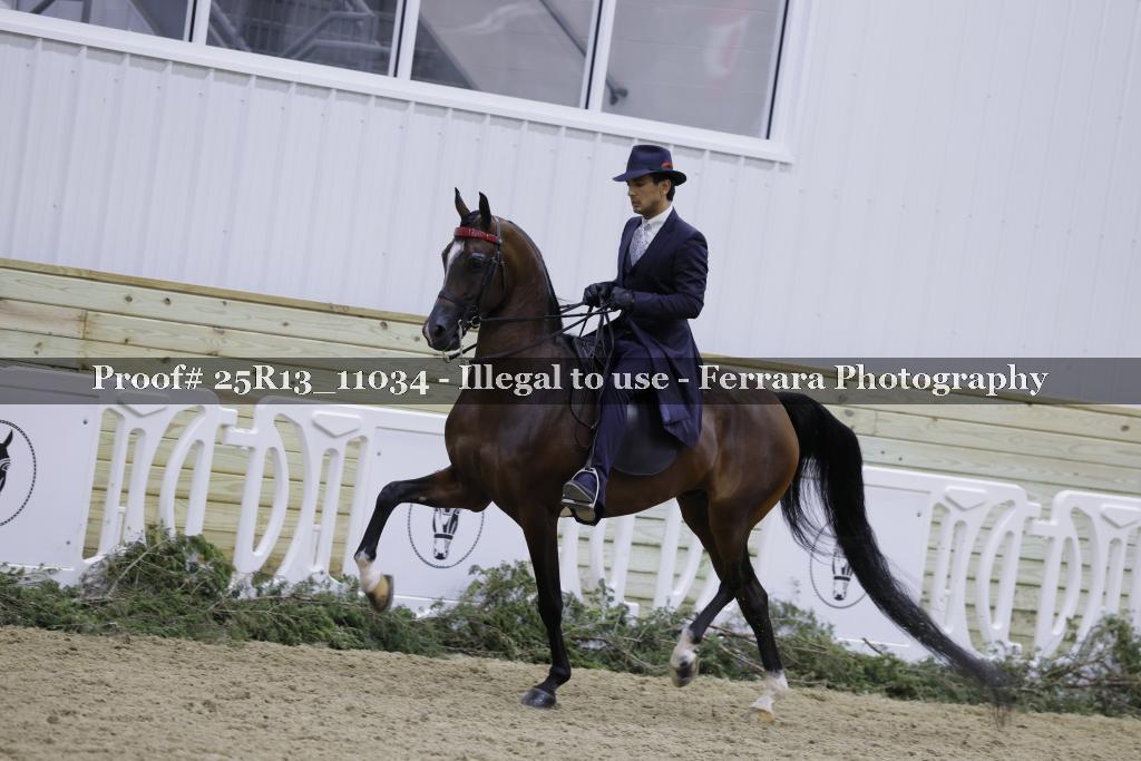 Proof 25R13_11034