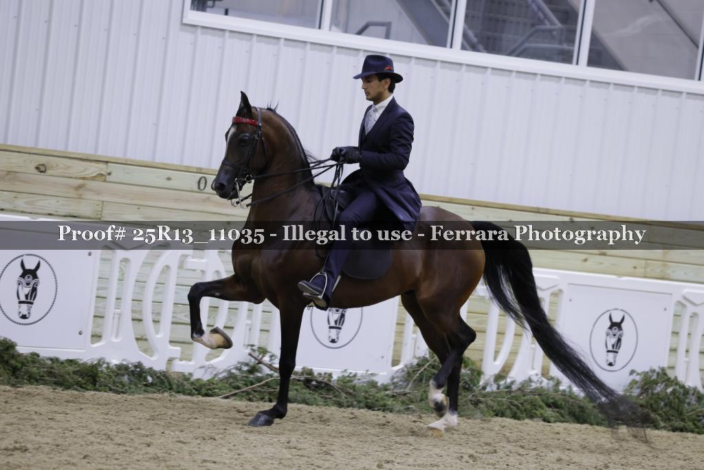 Proof 25R13_11035
