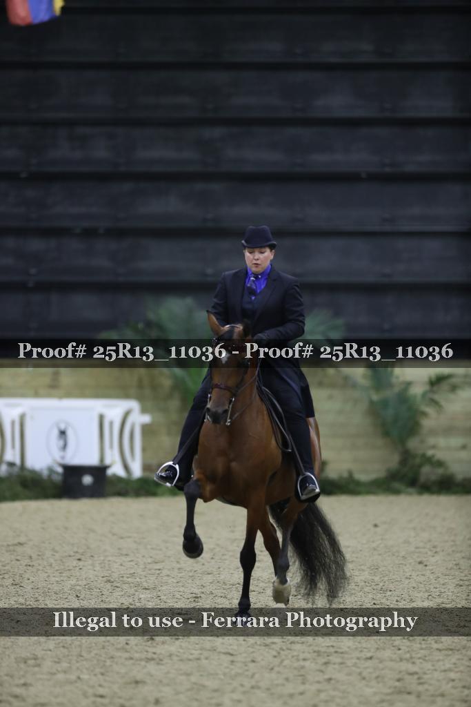 Proof 25R13_11036