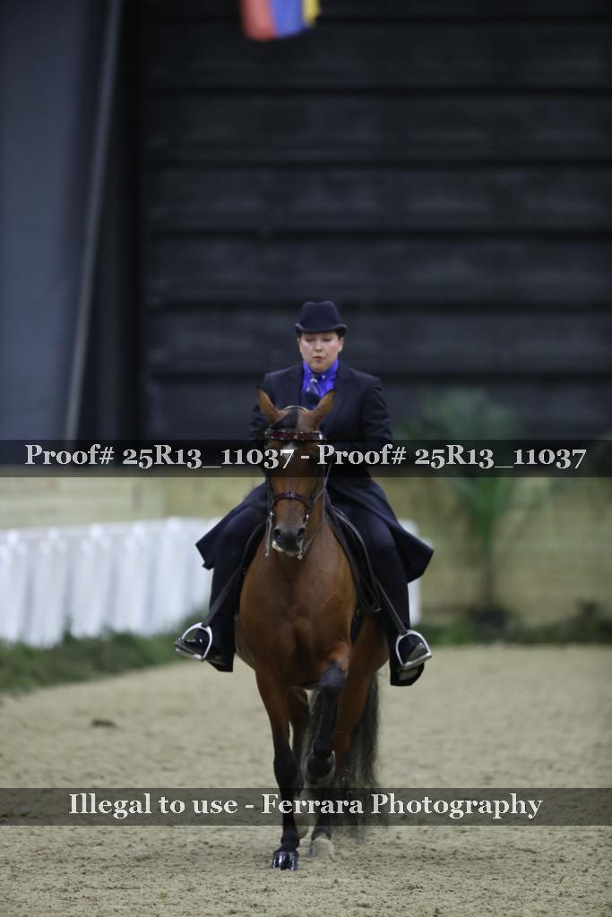 Proof 25R13_11037