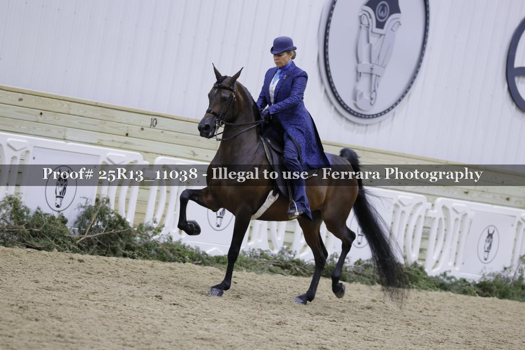 Proof 25R13_11038