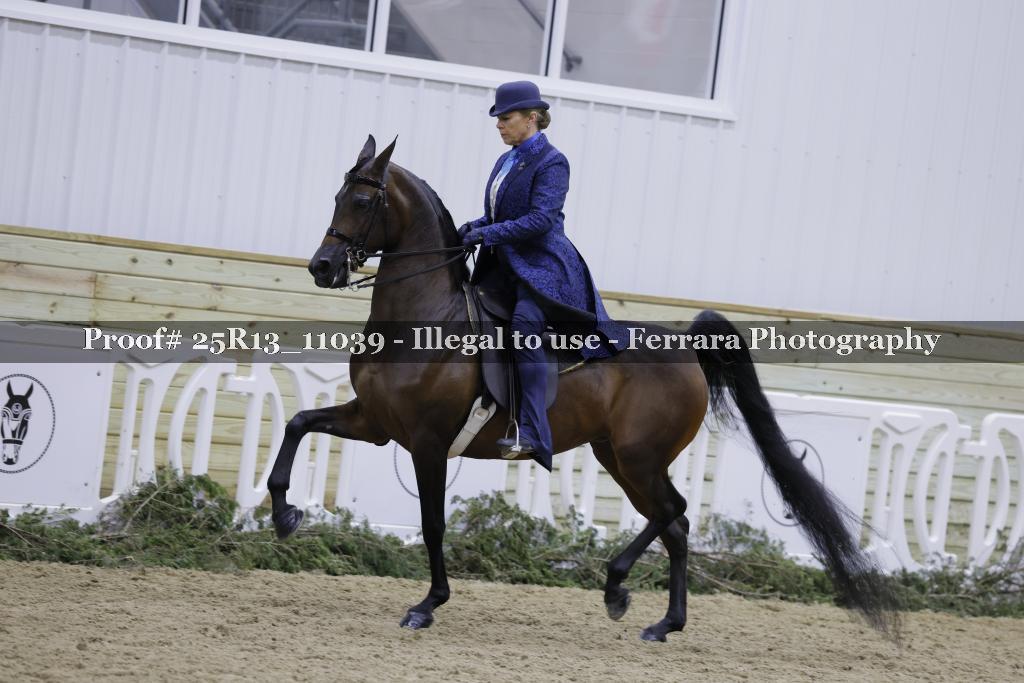 Proof 25R13_11039
