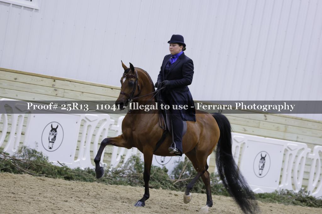 Proof 25R13_11041