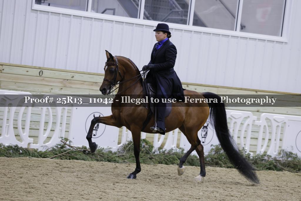 Proof 25R13_11042