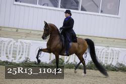25R13_11042 proof