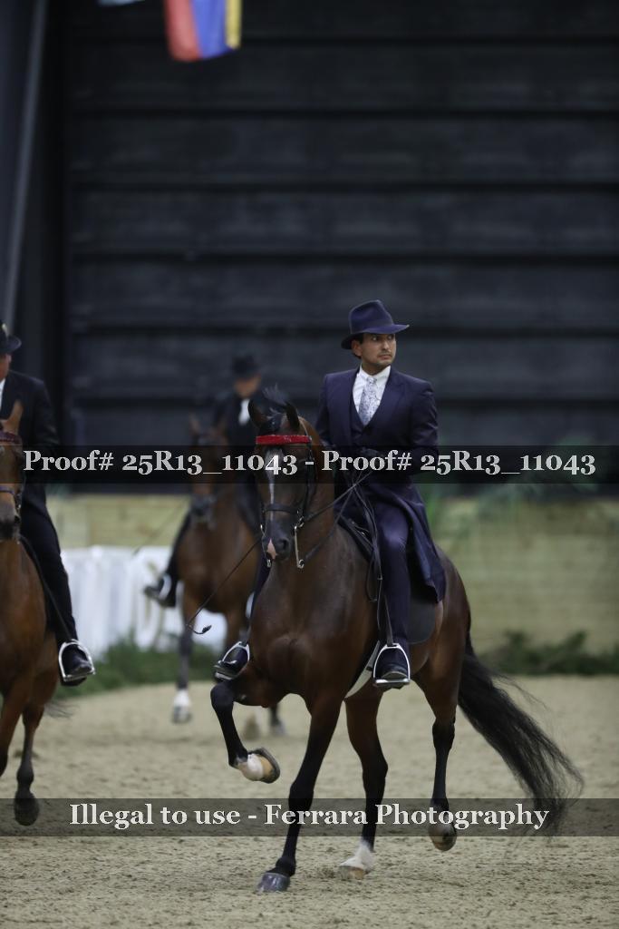 Proof 25R13_11043