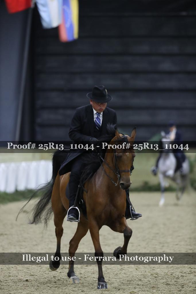 Proof 25R13_11044