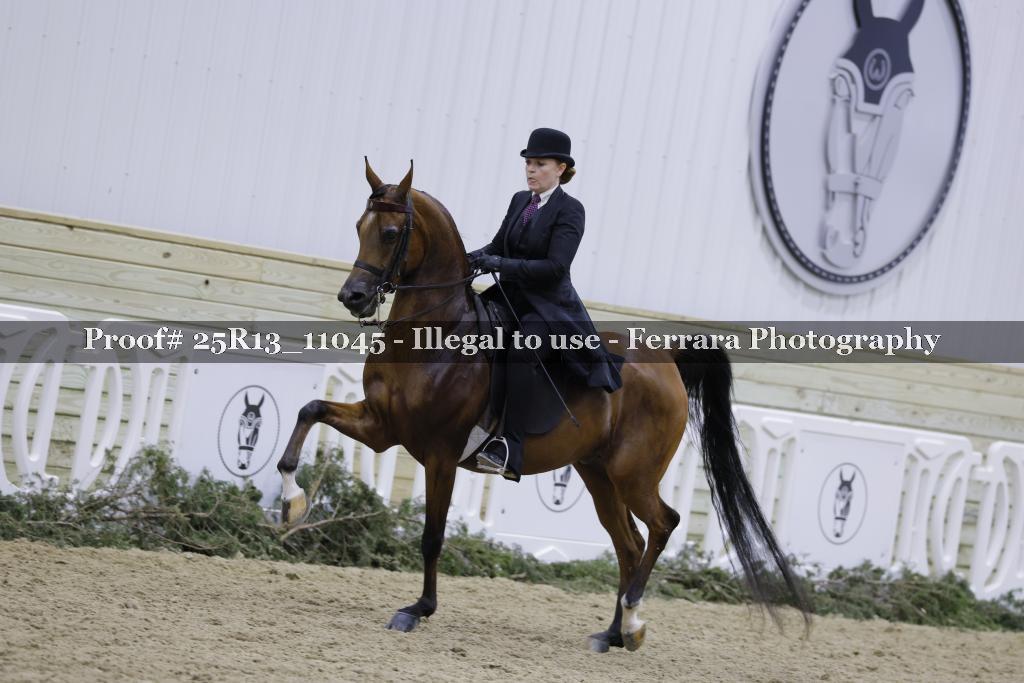 Proof 25R13_11045