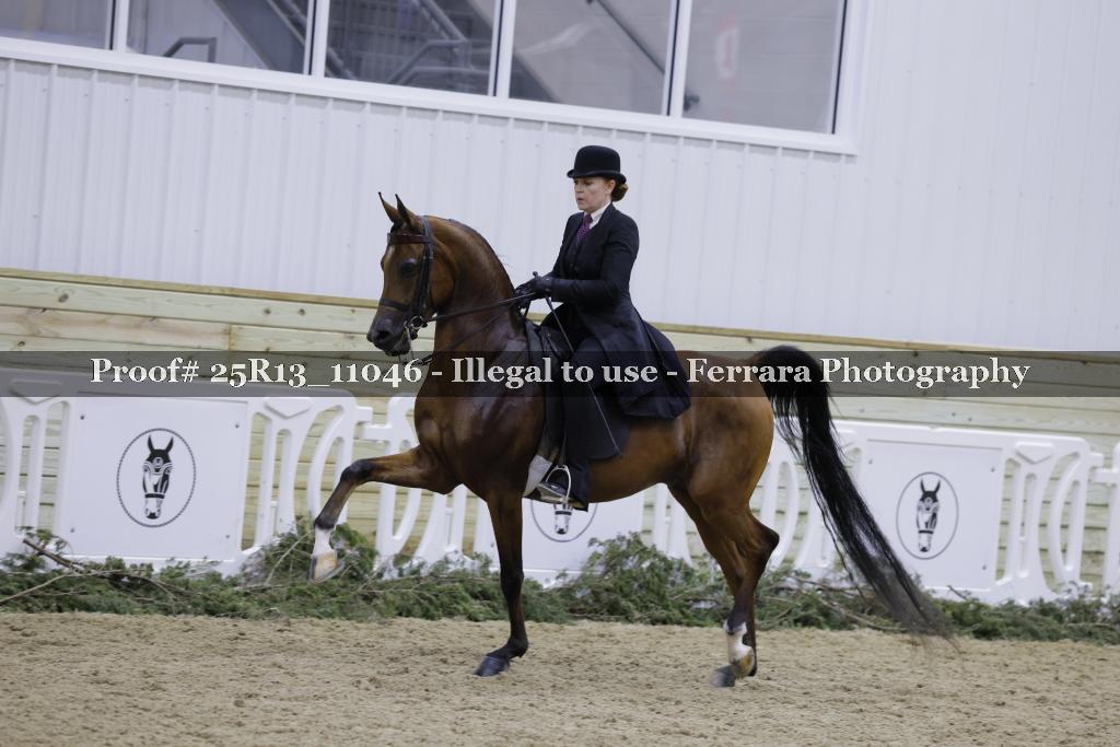 Proof 25R13_11046