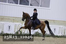 25R13_11046 proof