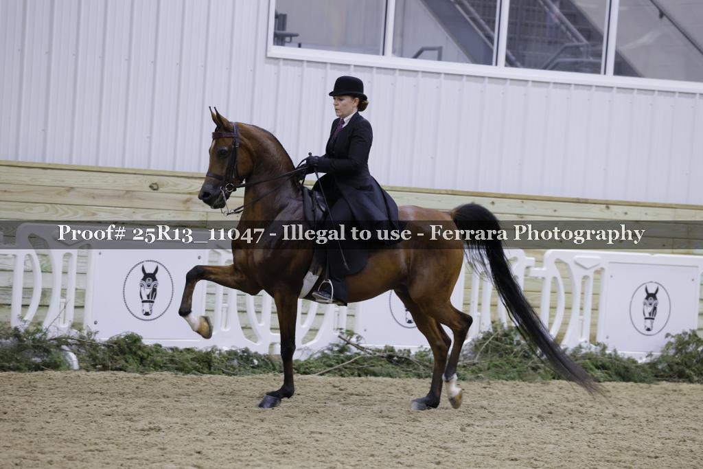 Proof 25R13_11047