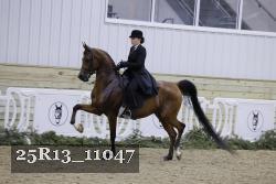 25R13_11047 proof