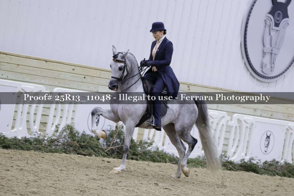 Proof 25R13_11048