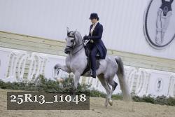 25R13_11048 proof