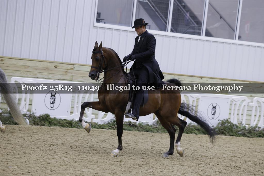 Proof 25R13_11049