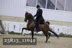 25R13_11049 proof