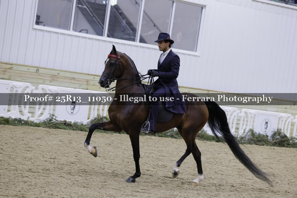 Proof 25R13_11050