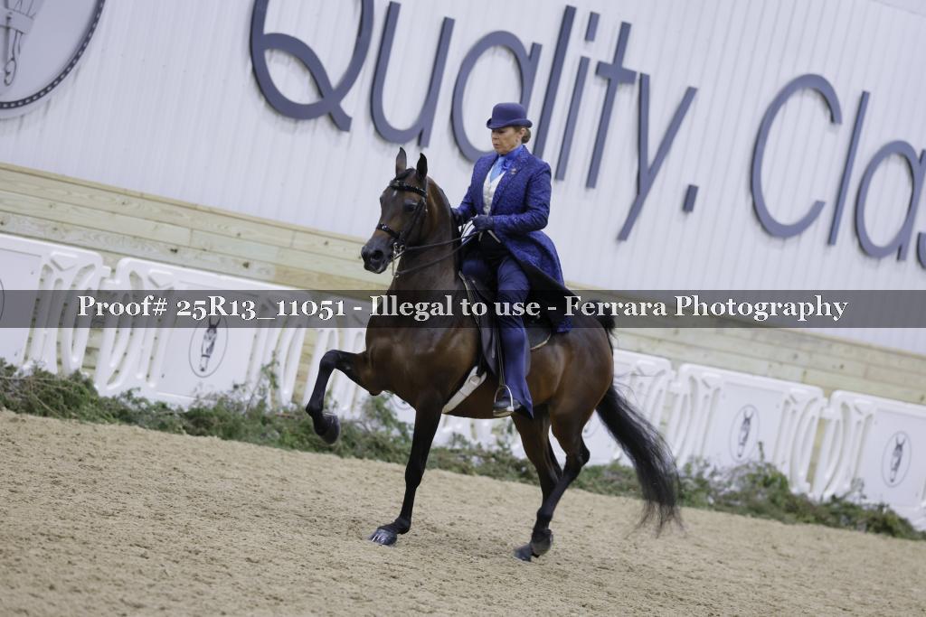 Proof 25R13_11051