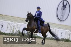 25R13_11052 proof