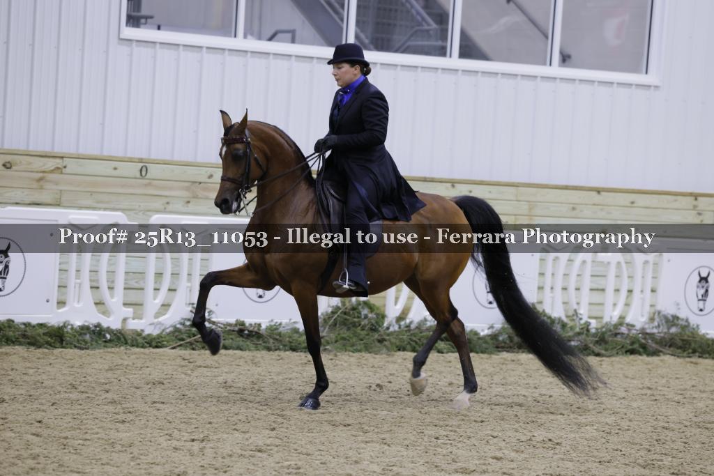 Proof 25R13_11053