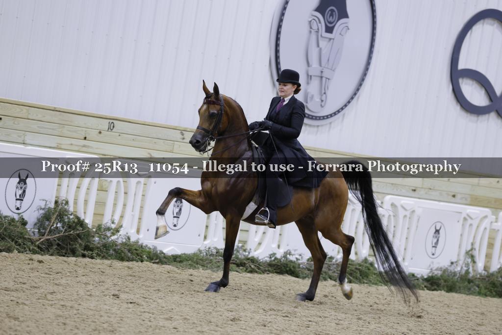 Proof 25R13_11054