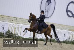 25R13_11054 proof