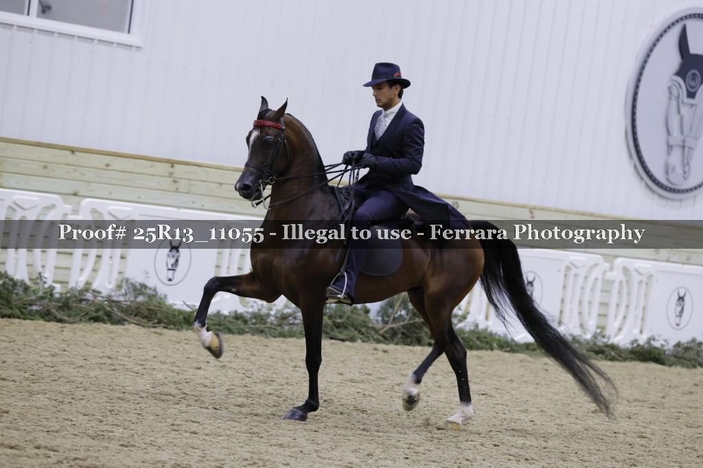 Proof 25R13_11055