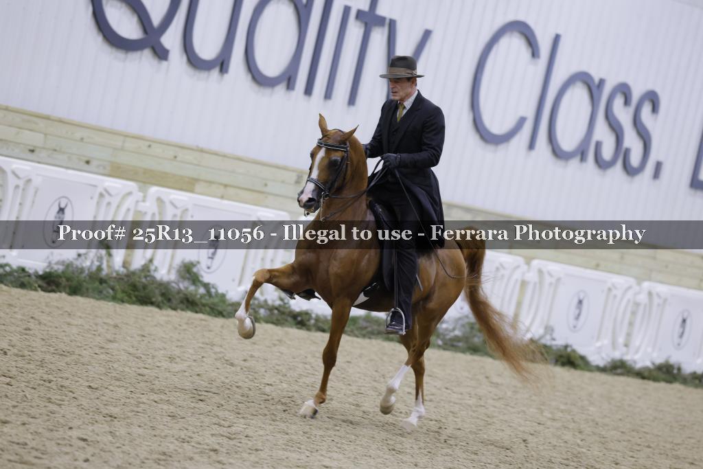 Proof 25R13_11056