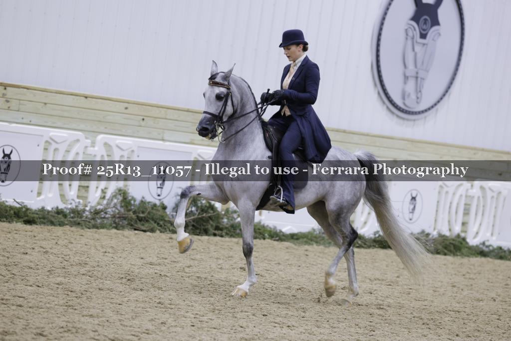 Proof 25R13_11057