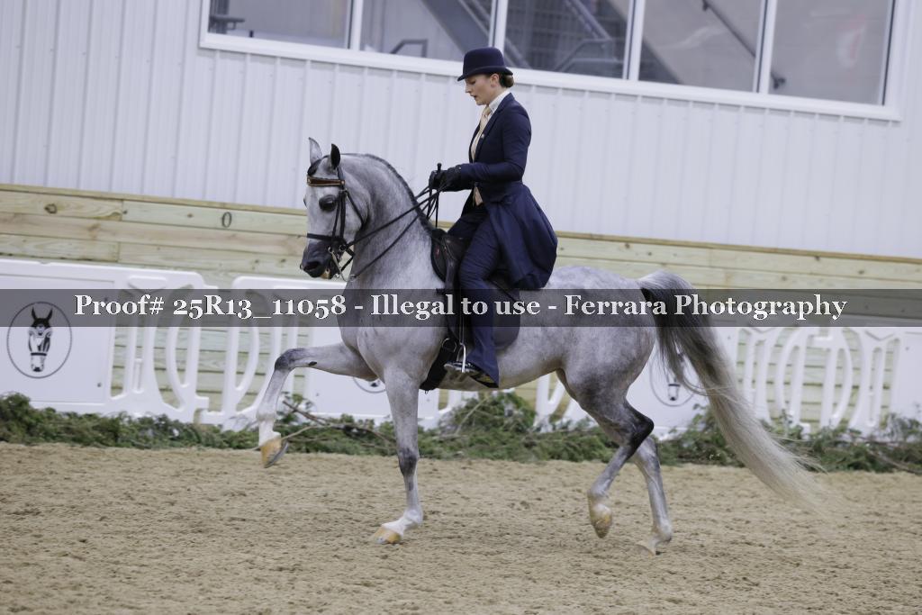 Proof 25R13_11058