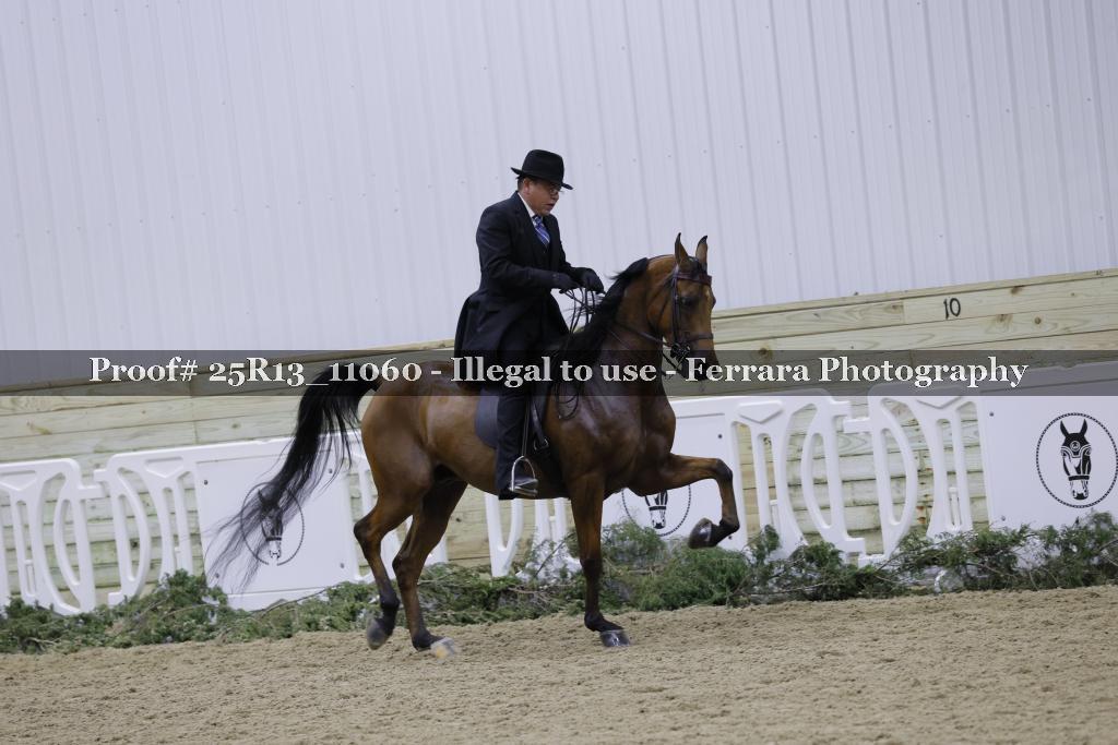 Proof 25R13_11060