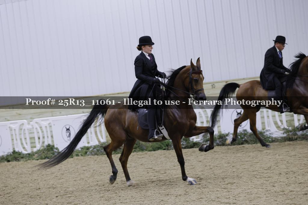 Proof 25R13_11061